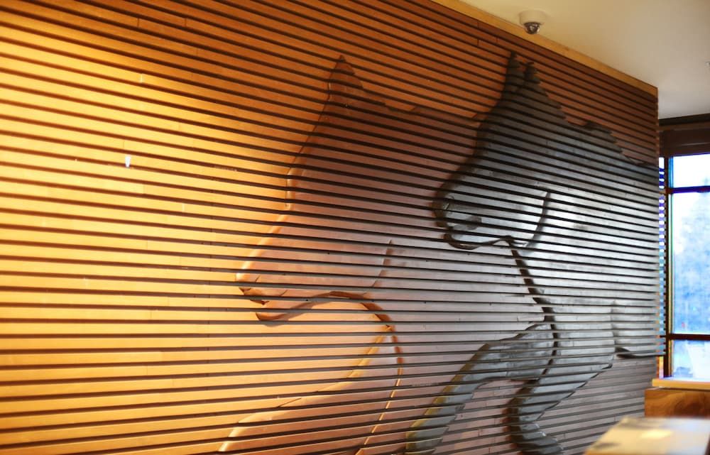 Great Wolf Lodge Bloomington 2