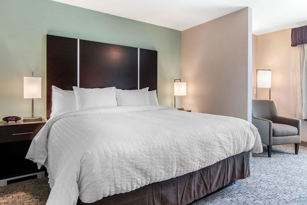 Clarion Inn & Suites Atlanta Downtown 3