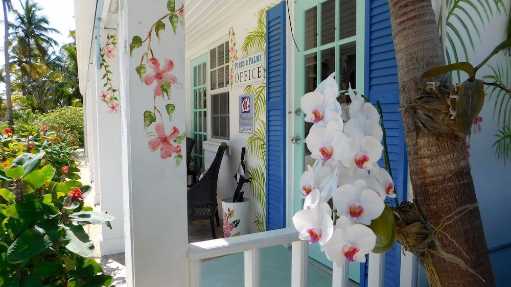 Pines & Palms Resort 2