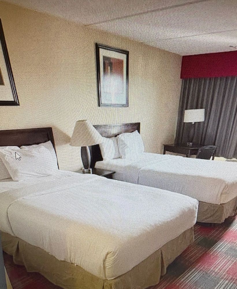 Albany Plaza Hotel 3