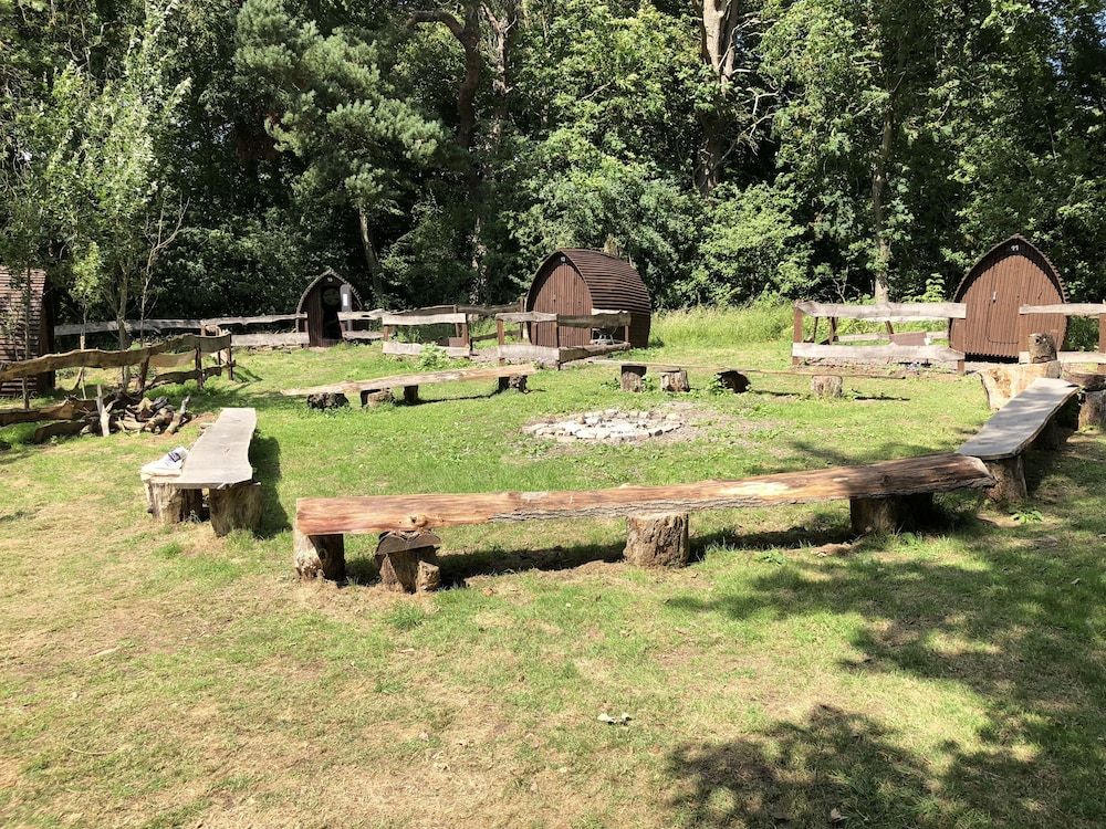 Edinburgh Cabin Camping 2