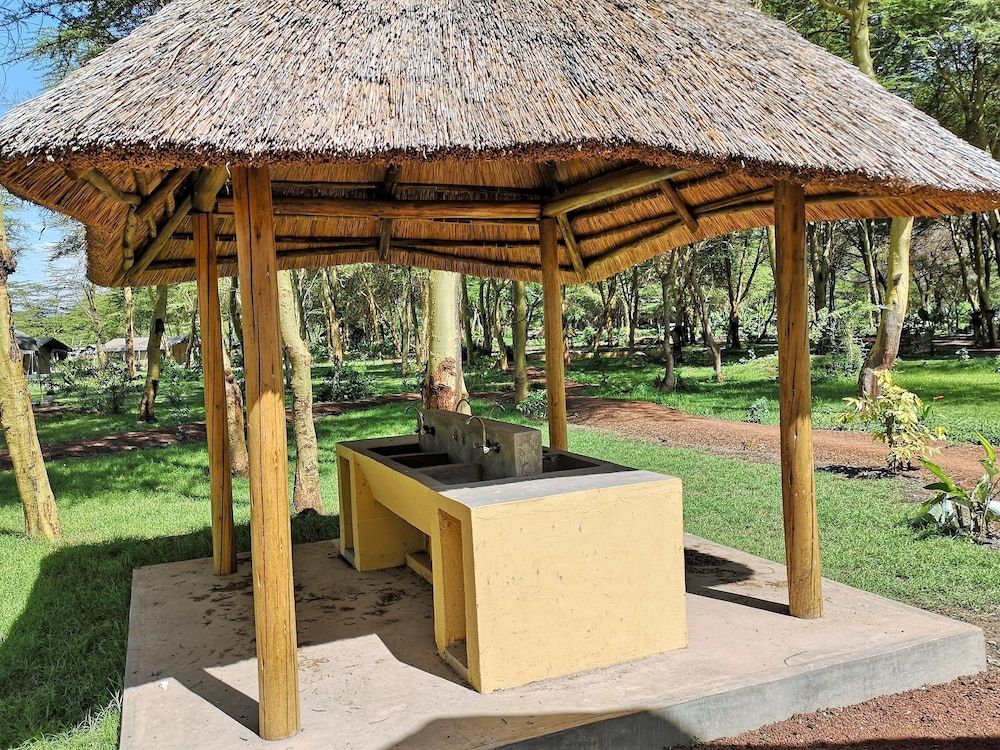 Africa Safari Lake Manyara 3