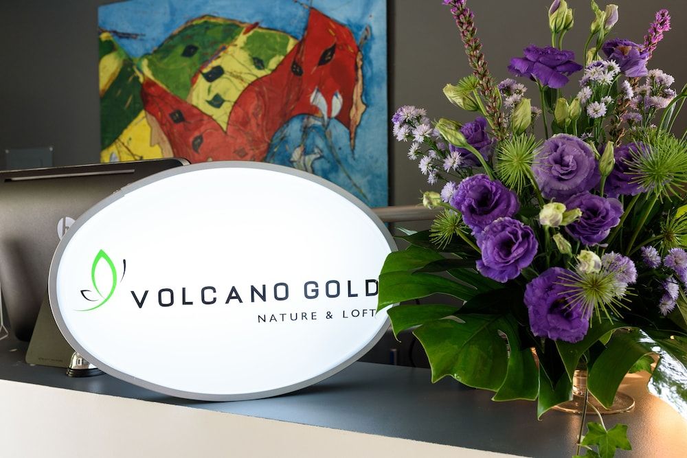 Volcano Gold Loft 2