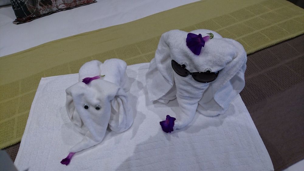 Two Fat Owls Guesthouse 2