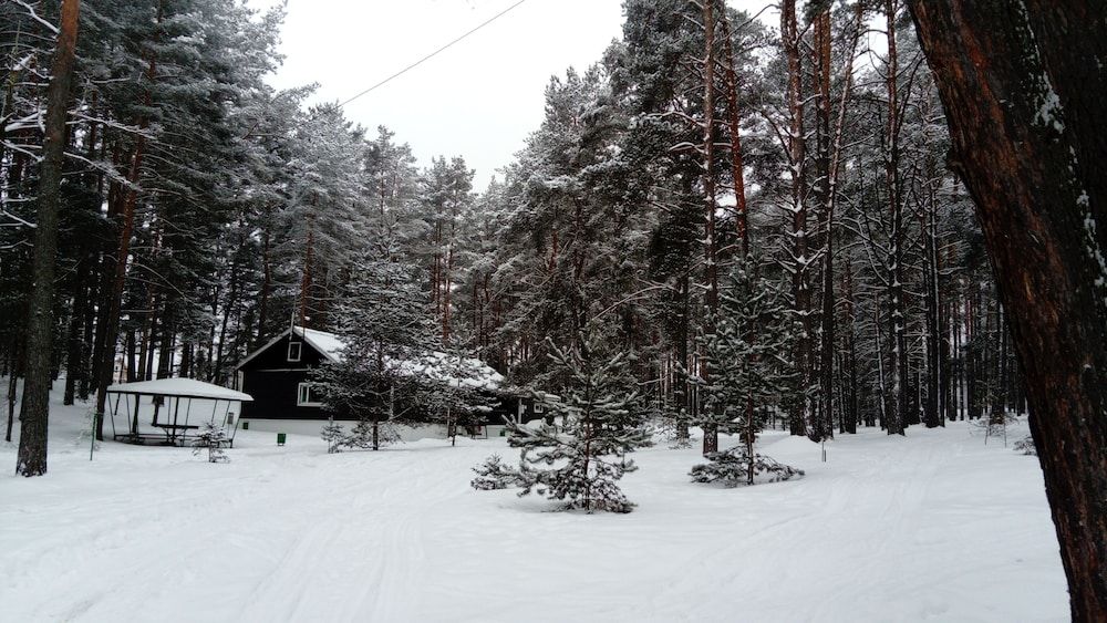 Lukomorie 1