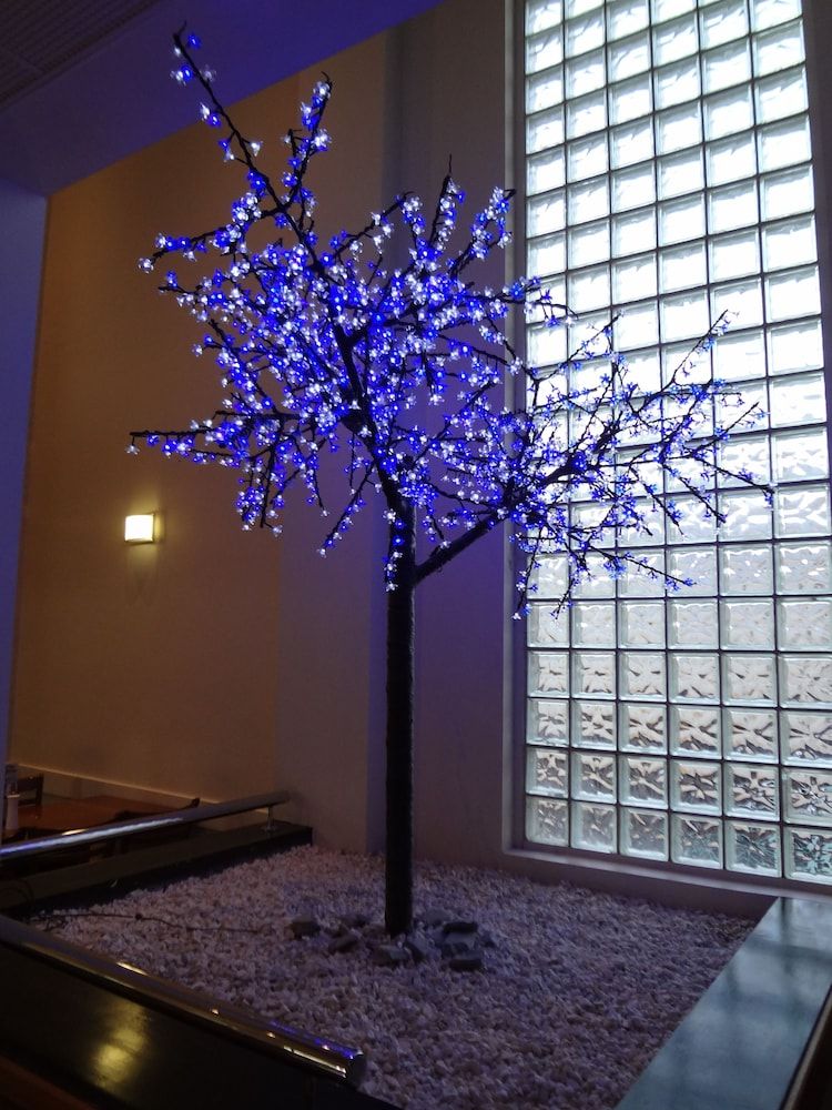 Amaroo Hotel Dubbo 2