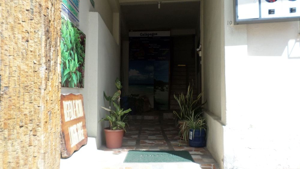 Hostal Miconia 2