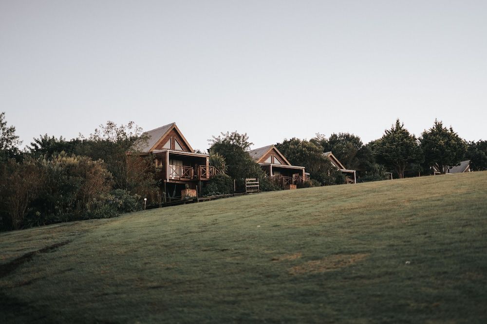 Misty Mountain Reserve