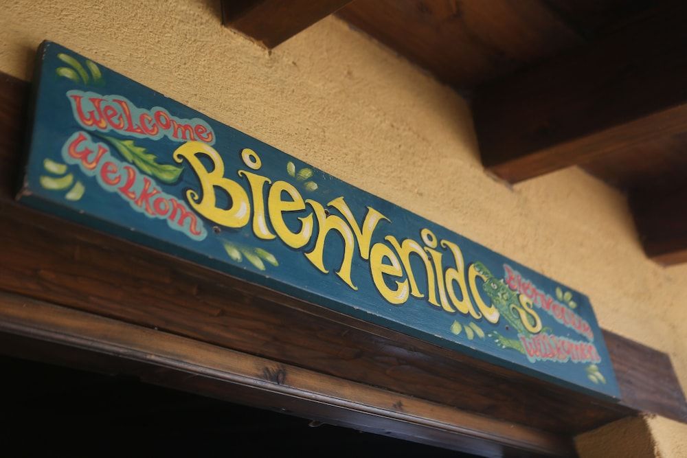 La Iguana Perdida - Hostel 2