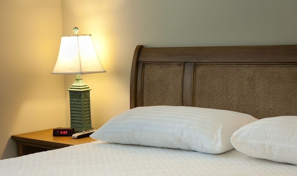 Dolphin Cove - Adults only 2