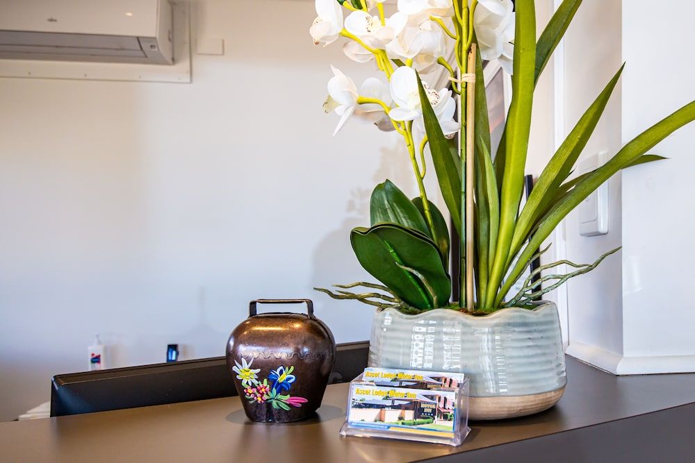 Ascot Lodge Motor Inn Kingaroy 3