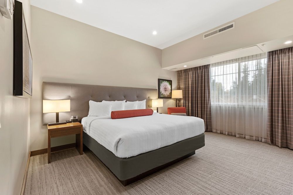 Mountainview Inn & Suites 3