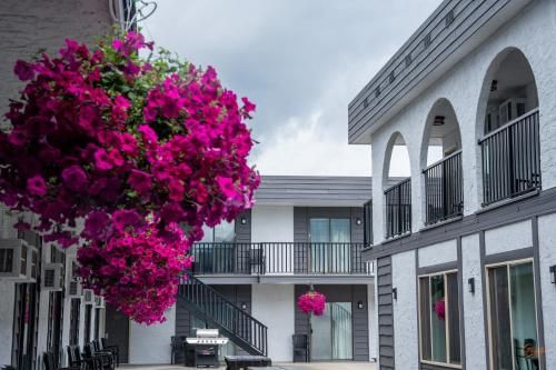 Courtyard Inn Vernon 3