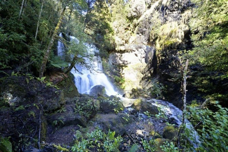 Lemonthyme Wilderness Retreat 2