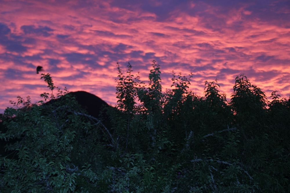 Off The Beaten Trail Accommodation & Bike Tours 3