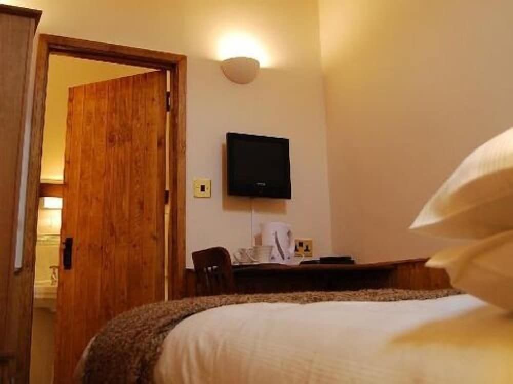 The Plume of Feathers 2