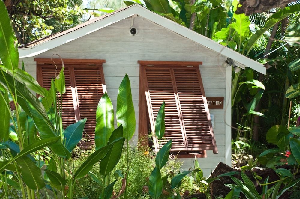 ECO Lifestyle & Lodge 3