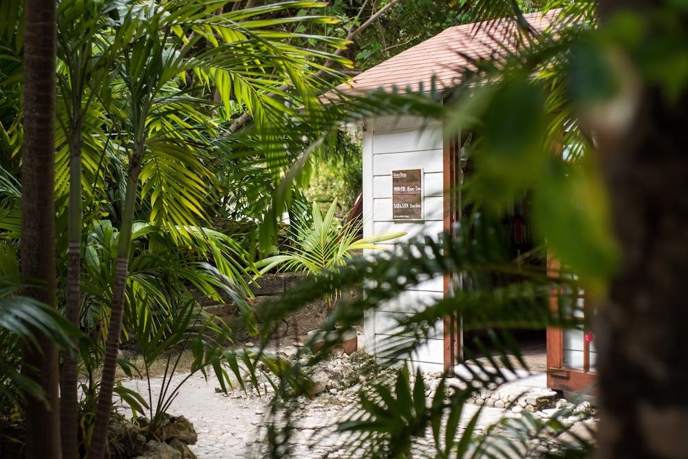 ECO Lifestyle & Lodge 2