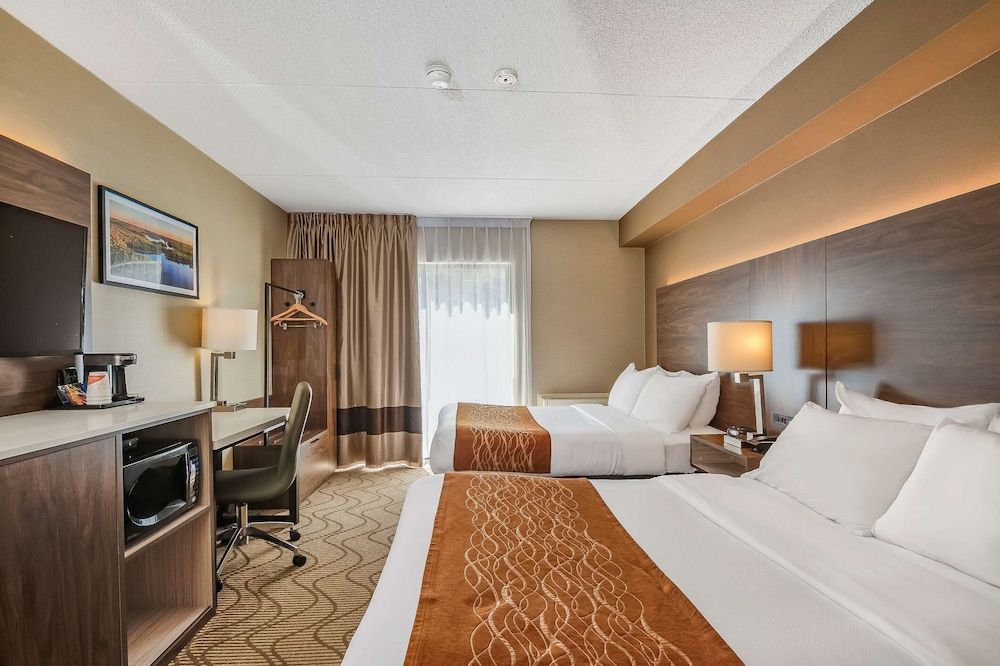Comfort Inn Lakeshore 3