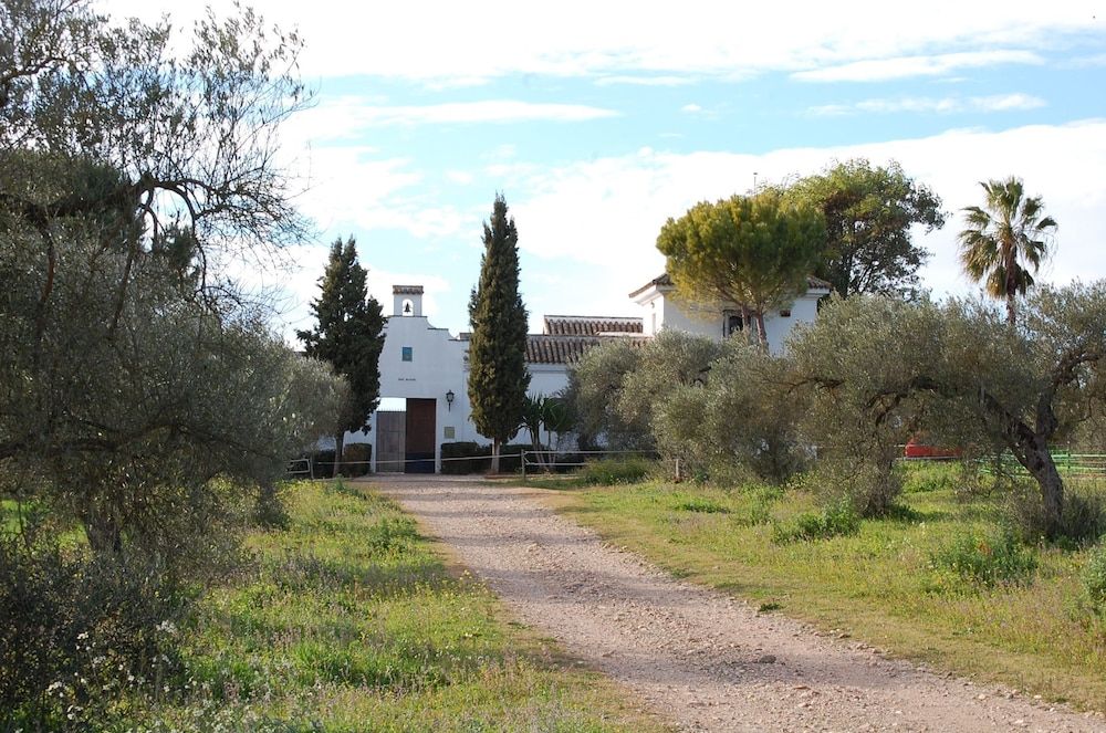 Hacienda Dos Olivos 1