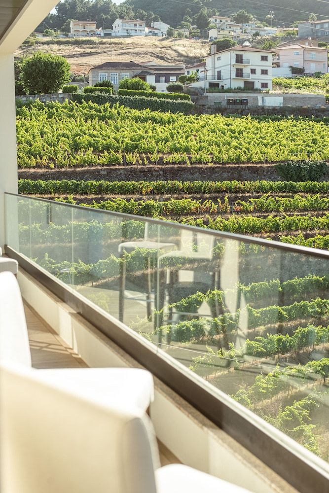 MW Douro Wine & Spa 3