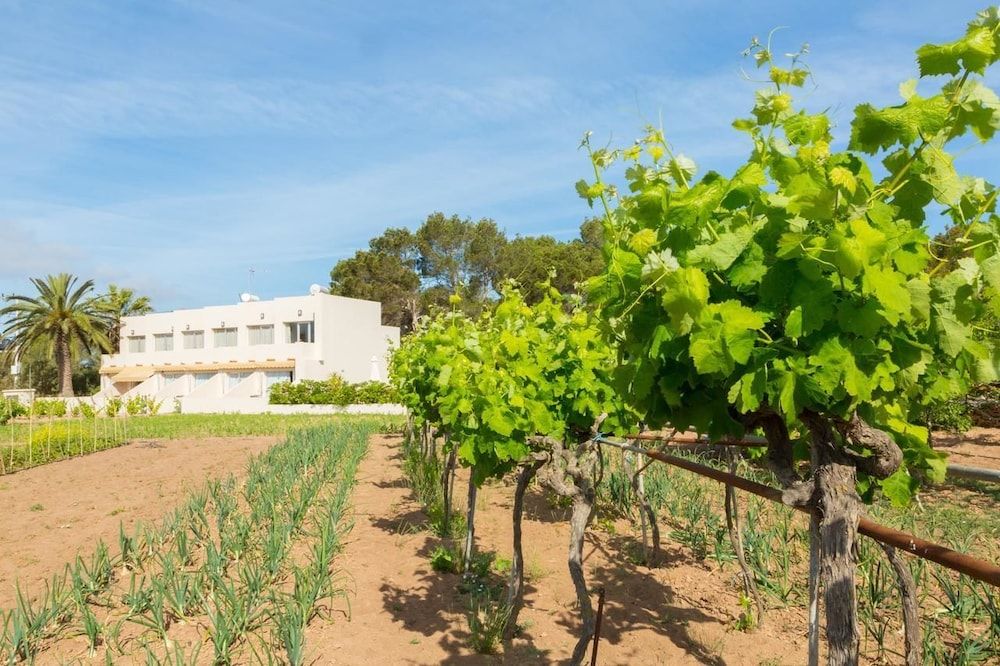 Aptos Marcelino - Formentera Break 1