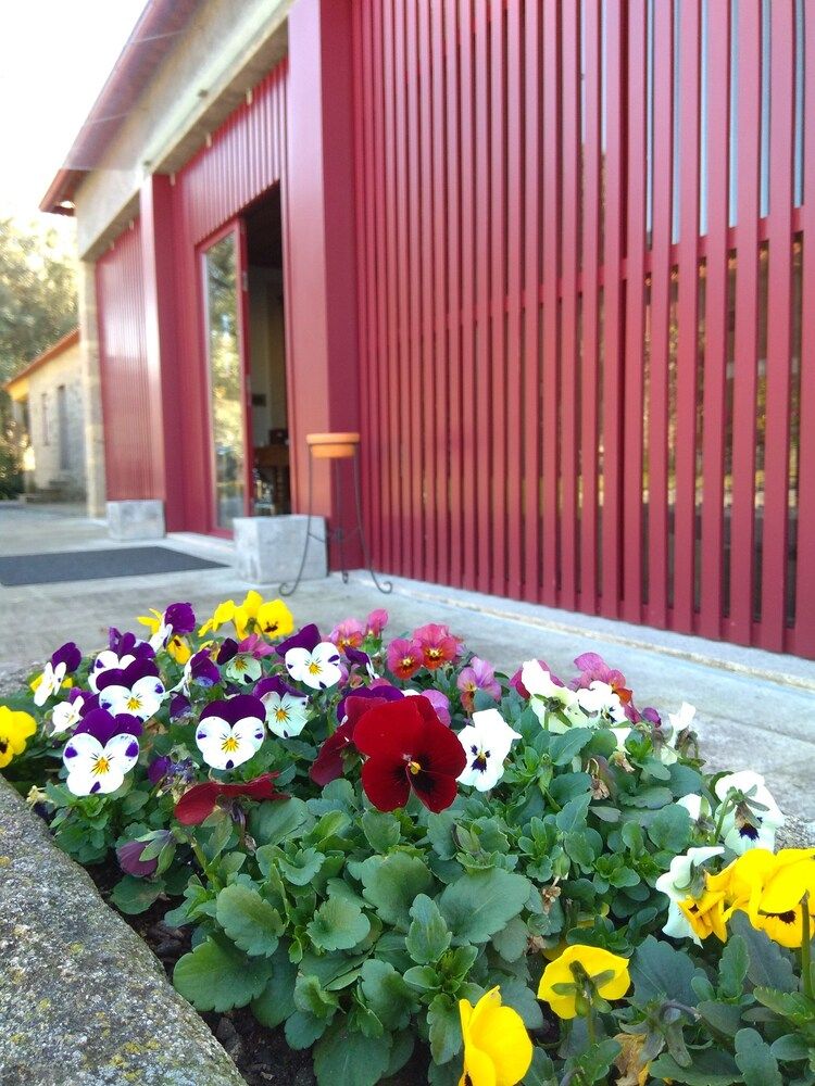 Casa Lata - Wine & Tourism 3