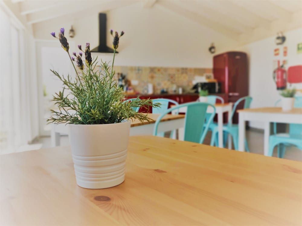 Pure Flor de Esteva B&B -1 estrelas em Vila do Bispo