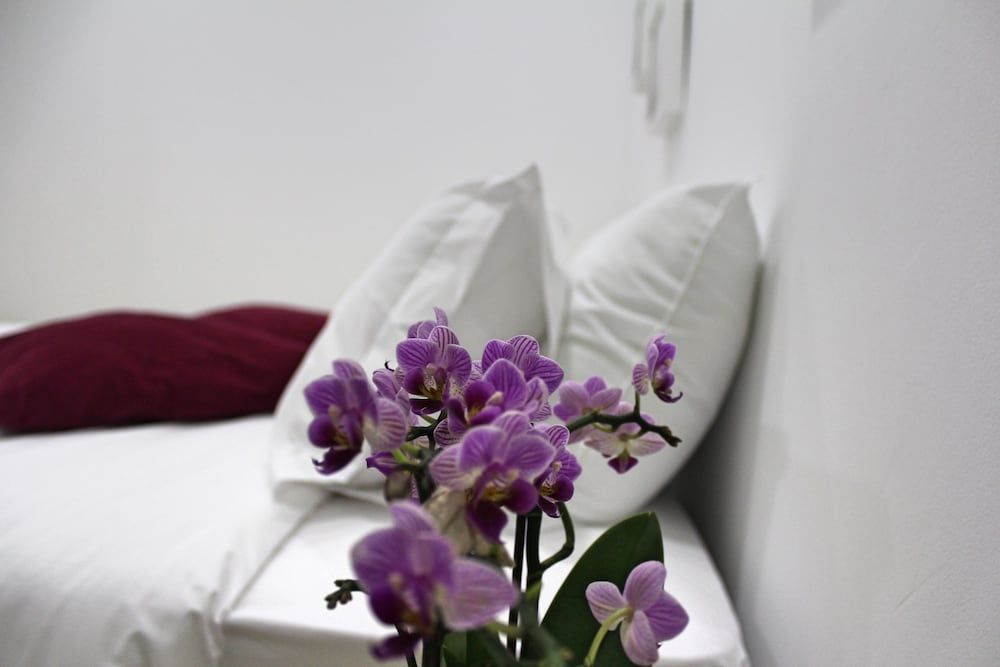 Nine Senses Guest House 2