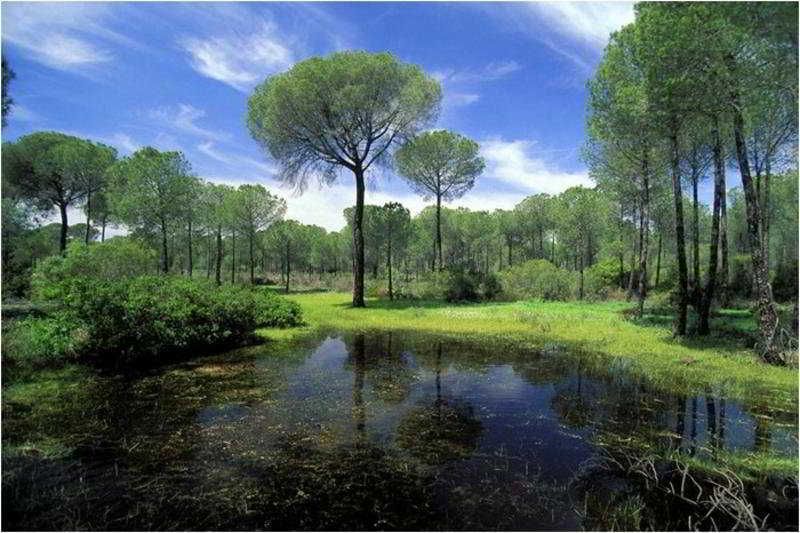 El Cortijo de los Mimbrales 2