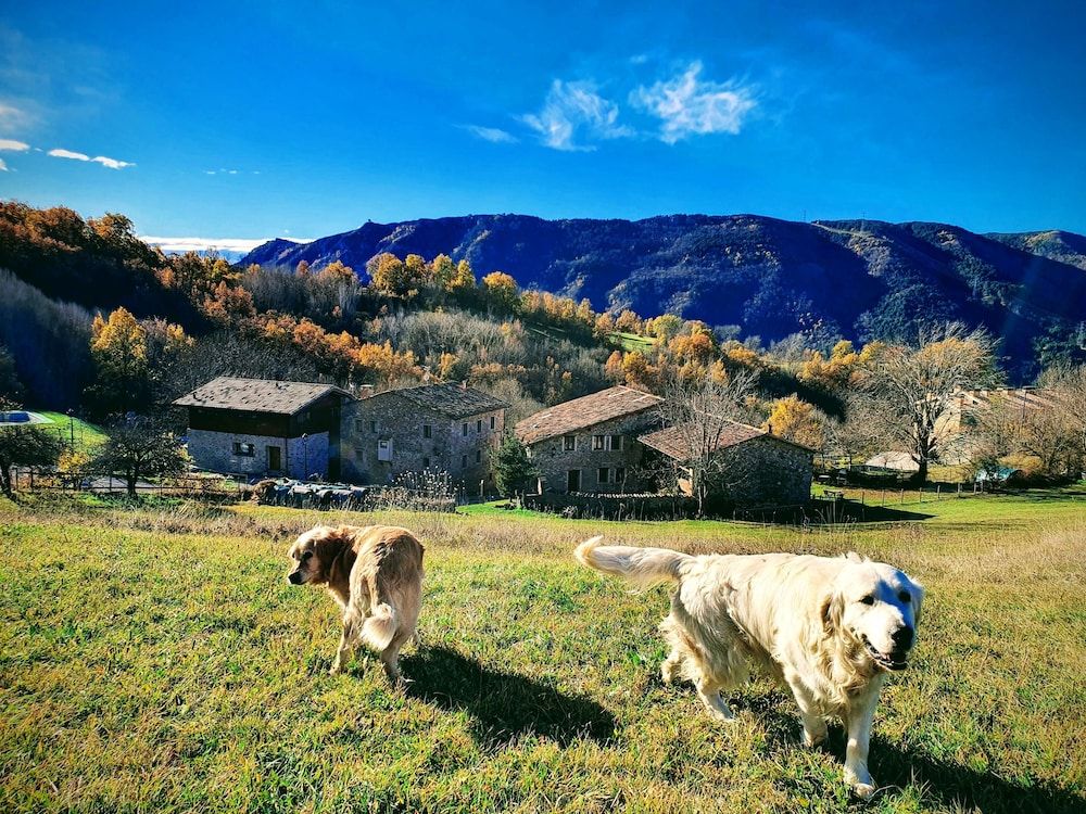 Turismo Rural Casa del Batlle 1
