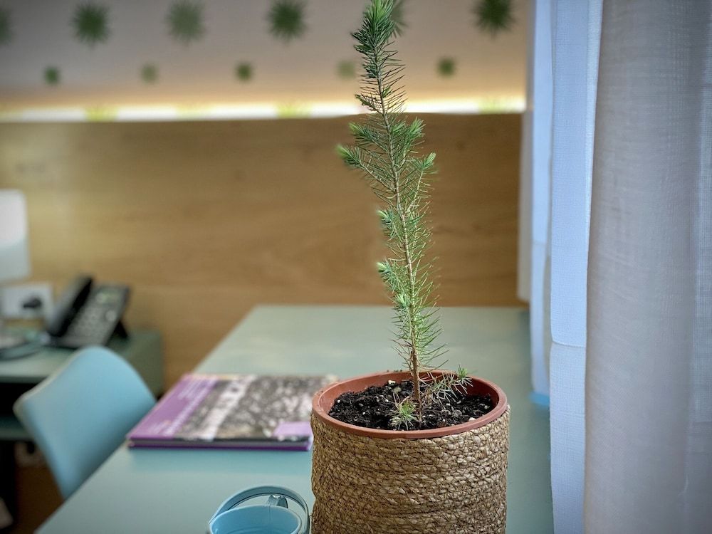 Alaró Natura Rural Suites 3