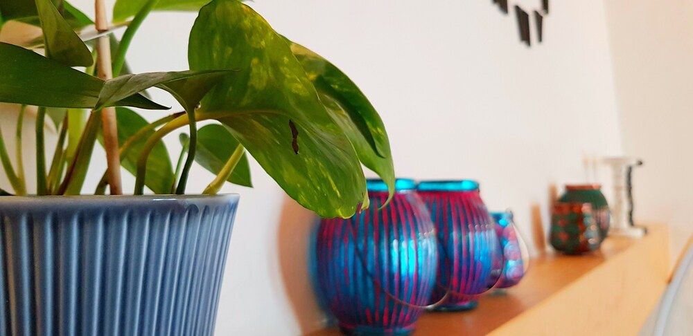 Lovely 1-bed House in Monsaraz Castle 3