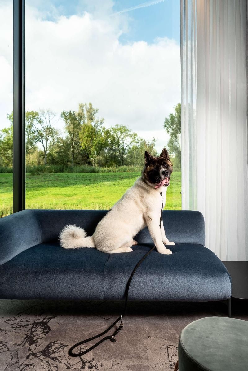 Radisson Hotel & Suites Amsterdam South 4 étoiles à Amstelveen