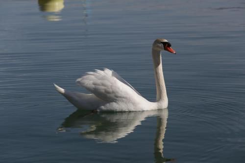 Amsterdam / Loosdrecht Rien van den Broeke Village 3