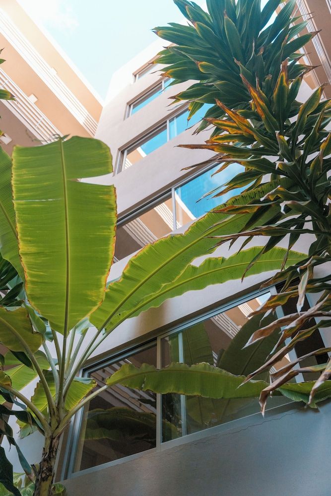 Las Rochas Mindelo -1 estrelas em Mindelo