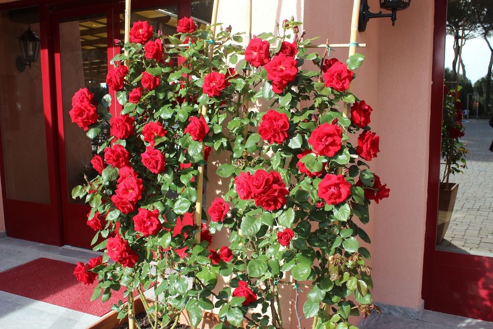 Corte dei Tusci Village Palace Hotel 3