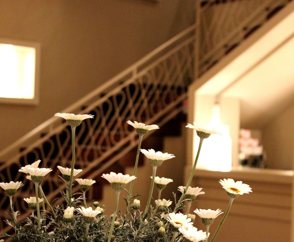 Astoria Vico Hotel 3