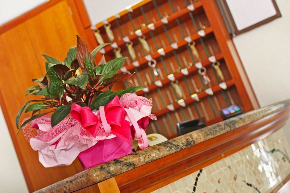 Hotel Silvia Misano Adriatico 2