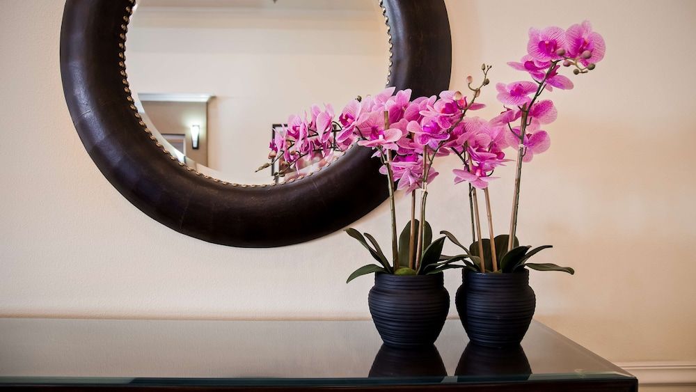 Best Western Salinas Valley Inn & Suites 3