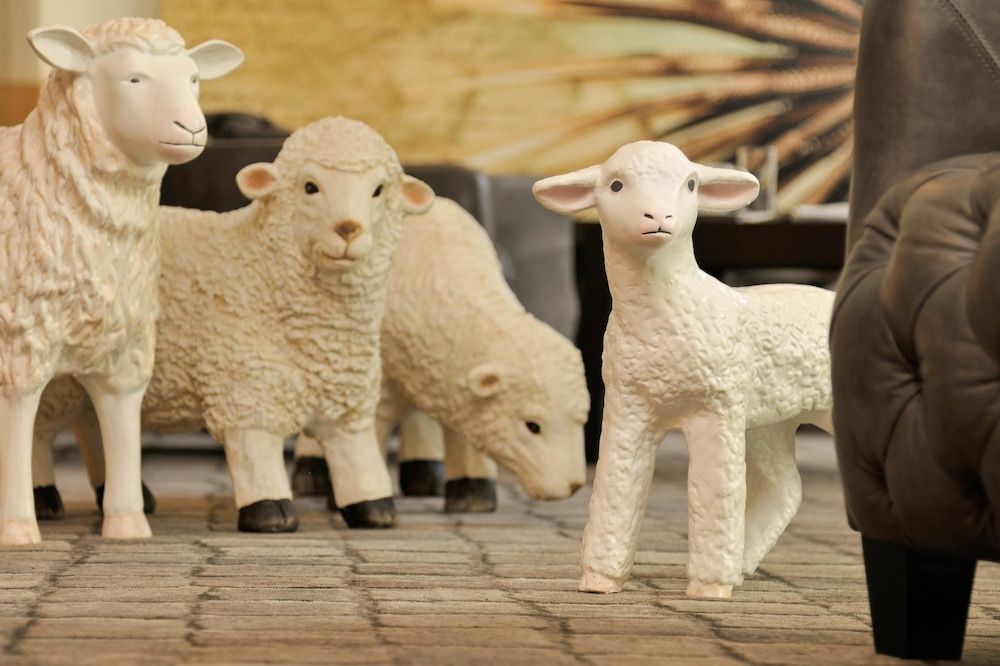 Best Western Hotel Lamm 3