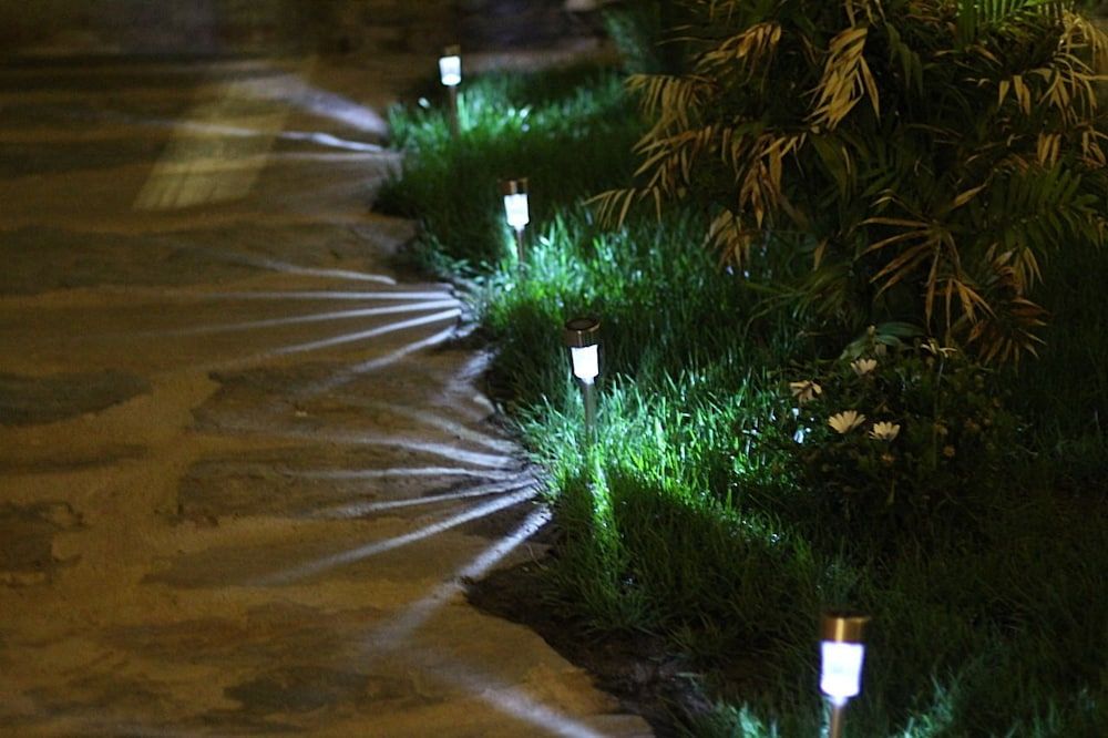 Casa Rural el Rincón de Monfragüe 2