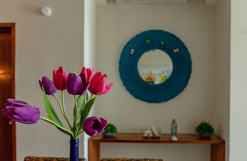 Aqua Star Hotels and Apartments 3