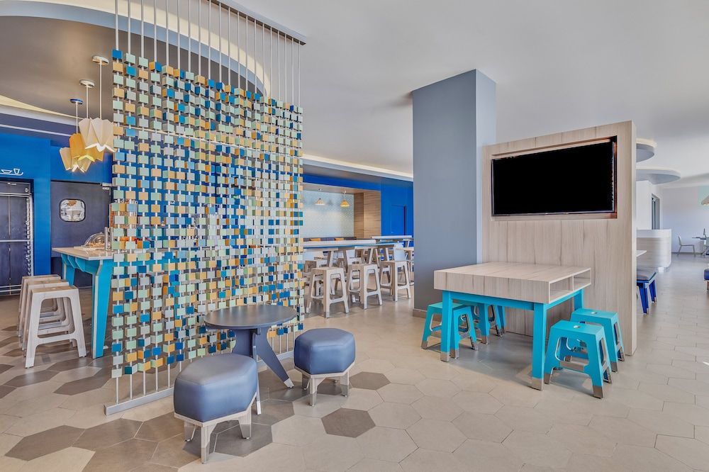 One Chihuahua Norte 3