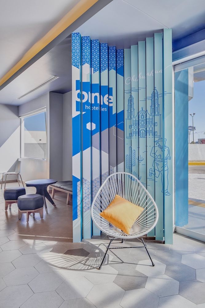 One Chihuahua Norte 2