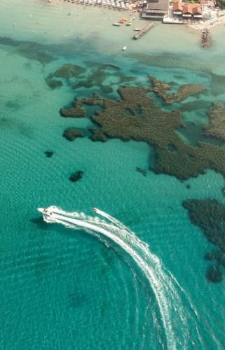 Robolla Beach Aparthotel 2