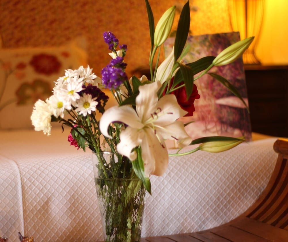 Hotel Rural Mas Fontanelles 1