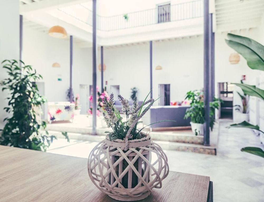 South Hostel Cádiz 1