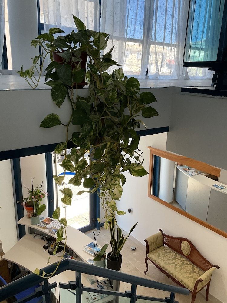 Pension Campello The Blue Med 2