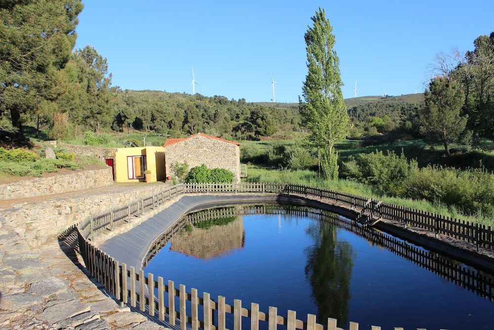 Moinhos da Tia Antoninha